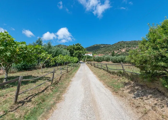 Casa Camilla Procchio (Isola d'Elba)